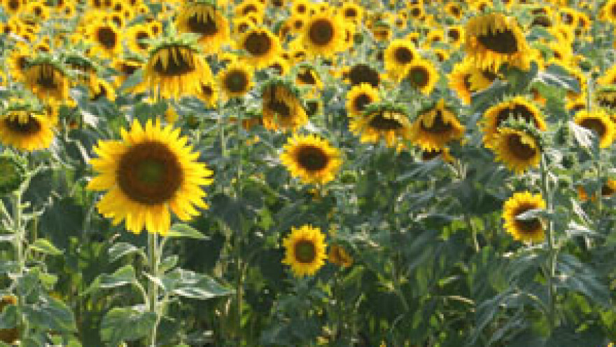 Produženje roka za podnošenje prijava IPARD natječaja