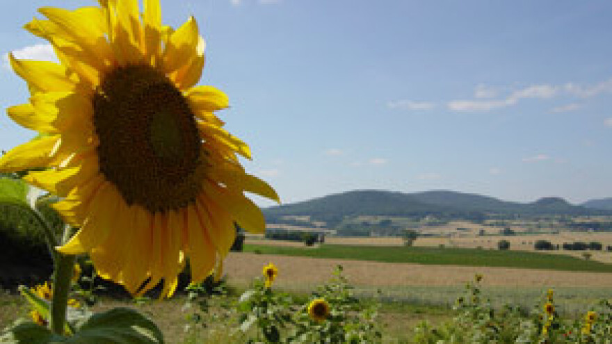 Agencija za plaćanja održala 7 prezentacija za poljoprivrednike