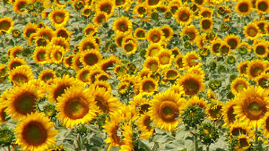 Na pomolu dogovor poljoprivrednika i Ministarstva?