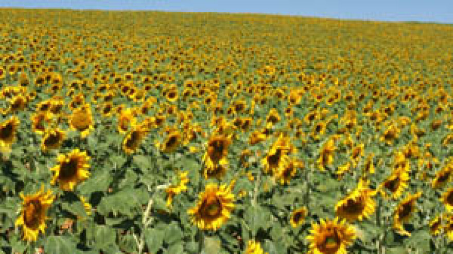 Drugi IPARD natječaj za Mjeru 301 u svibnju