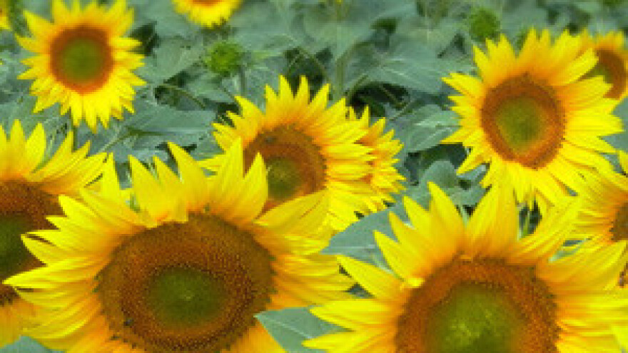 Raspolaganje poljoprivrednim zemljištem