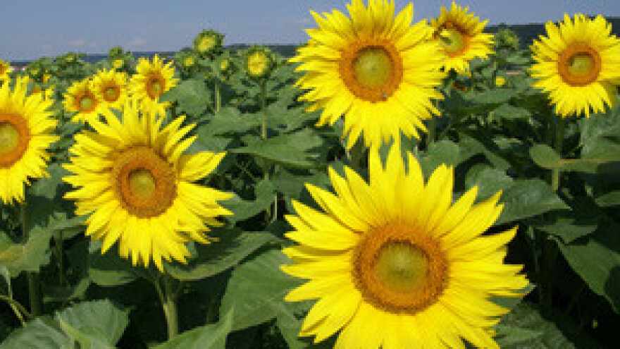 Rat za državno poljoprivredno zemljište