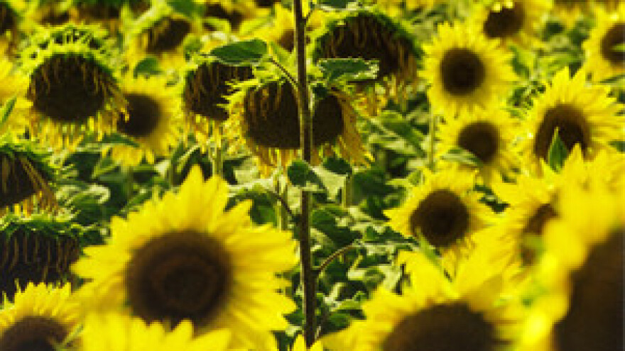 Peti IPARD natječaj za M101 i M103