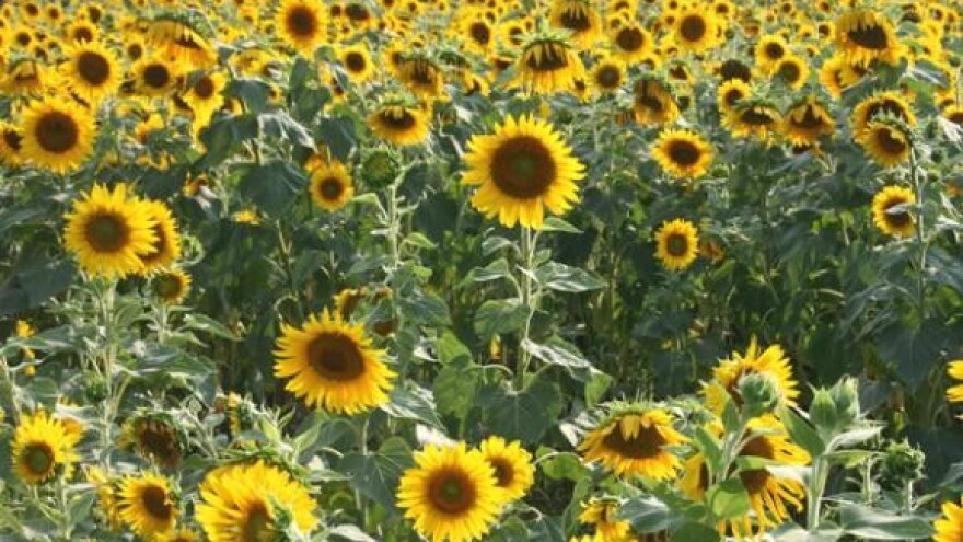 Nema više poticaja, novac ide samo za dobre programe