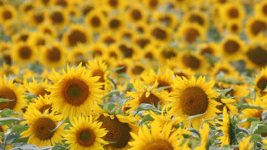 Zakon o poljoprivrednom zemljištu treba ozbiljno doraditi