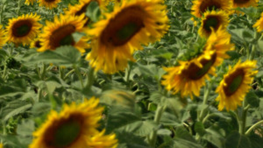 Povoljni krediti za zatvaranje nepovoljnih kredita