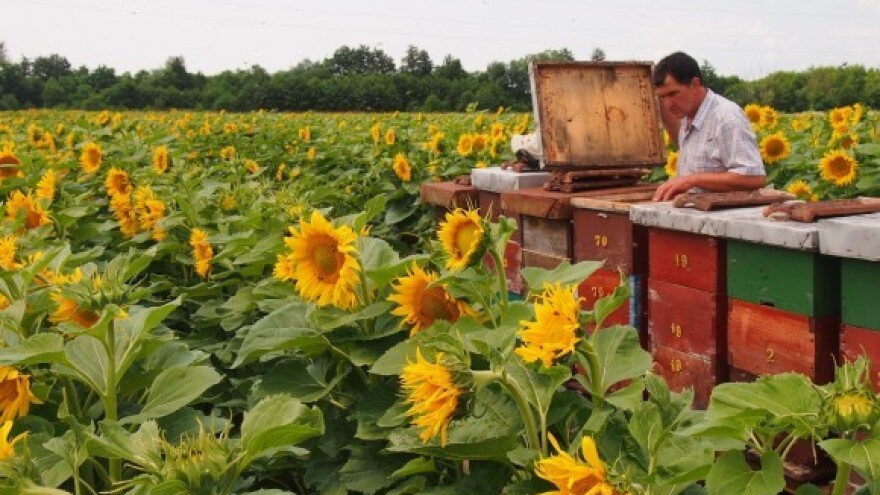 Svaku sumnju na etiniozu prijaviti mjerodavnima