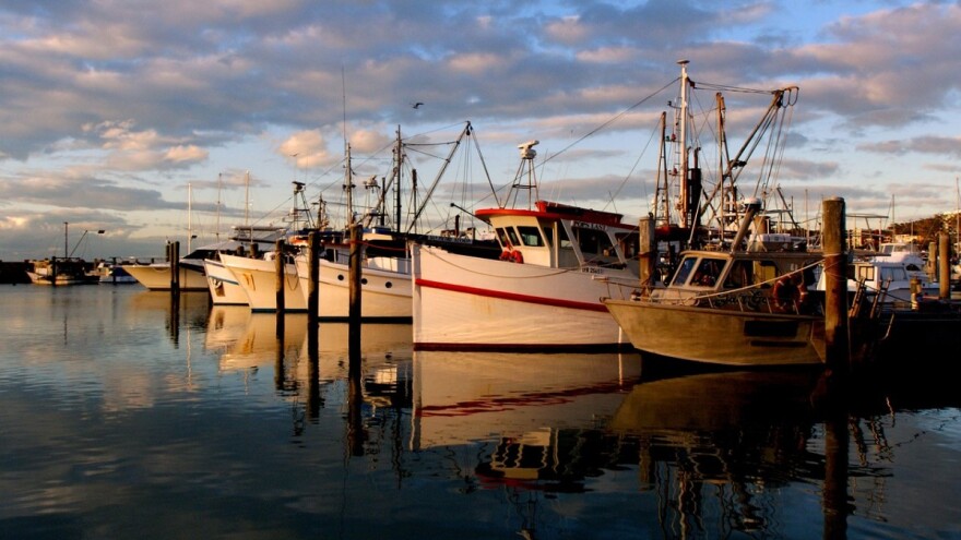Dopuna Pravilnika o povlastici za obavljanje gospodarskog ribolova na moru, registru povlastica i ribolova koćom