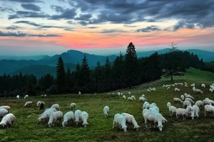 Vraća se južina, ali nakratko