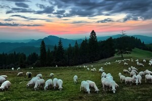 Vraća se južina, ali nakratko