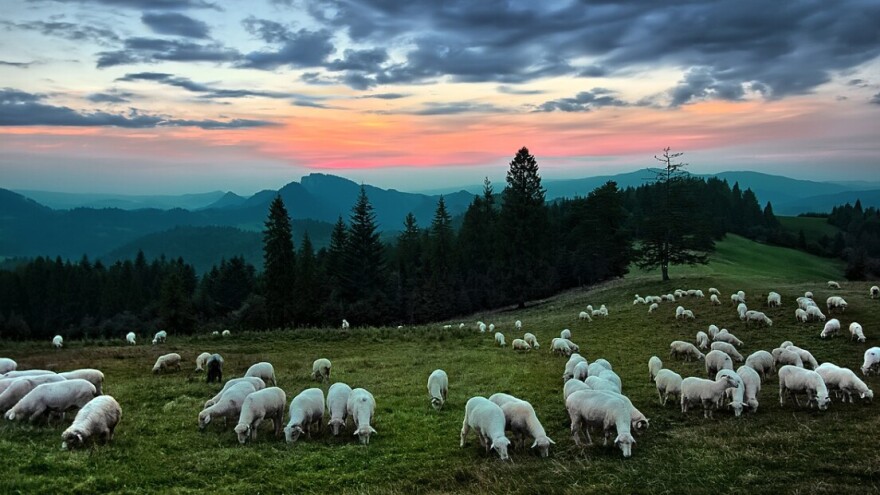 Vraća se južina, ali nakratko