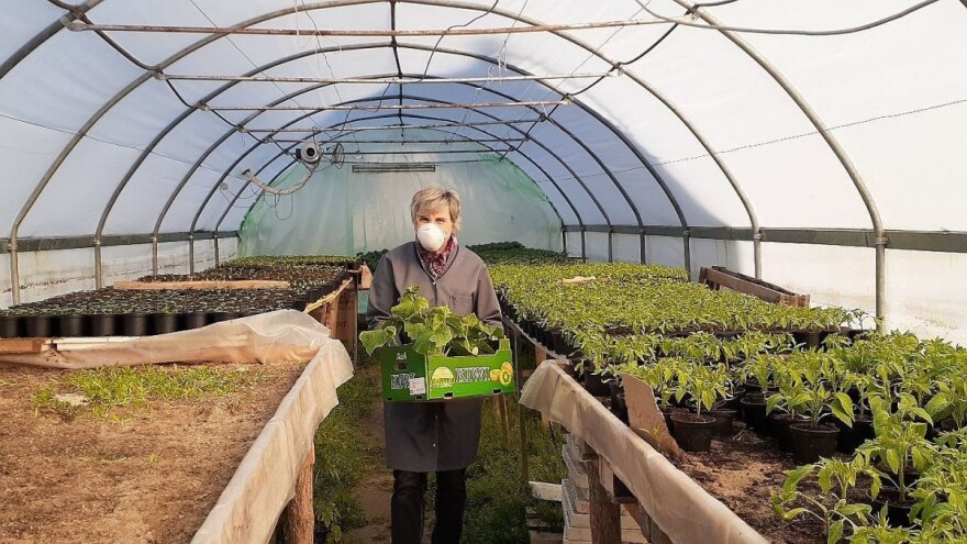 Rapisan Javni poziv za dodjelu mini grantova za razvoj poljoprivrede