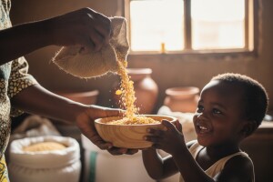 Superžitarice će okončati glad u svijetu?