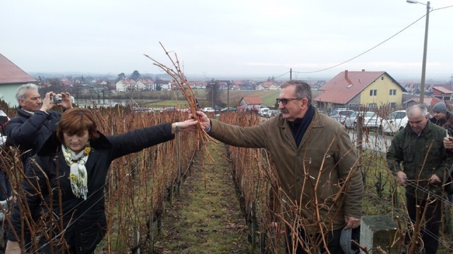 Sorta se može preporučiti tek za 10 do 15 godina!