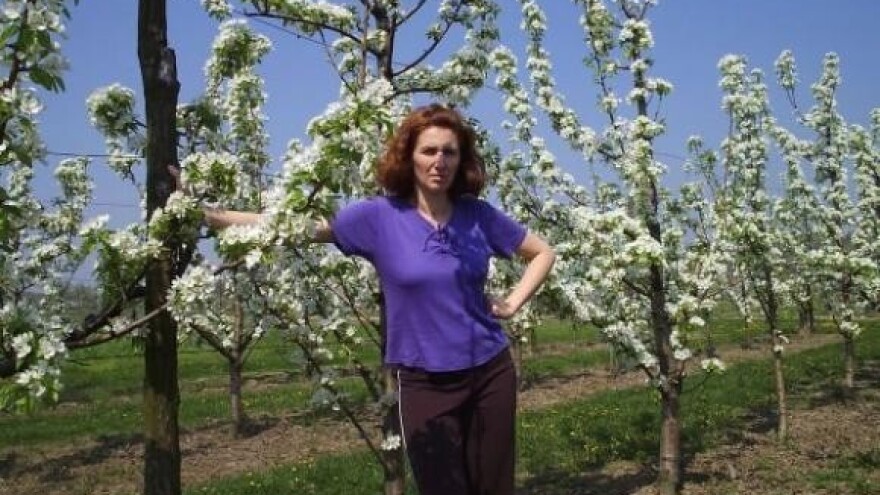 Zabranjeno voće iz Klokočevika