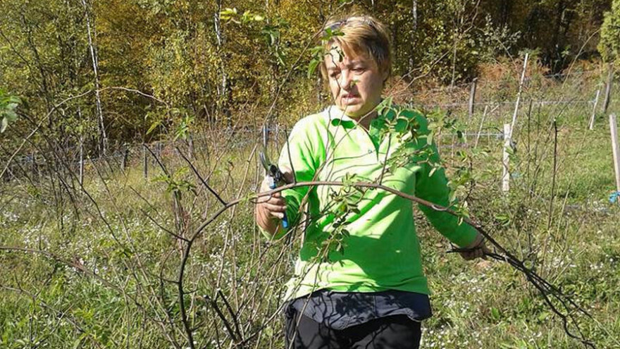 Duška Šurlan: Odlučila sam ostati i uzgajati šipak