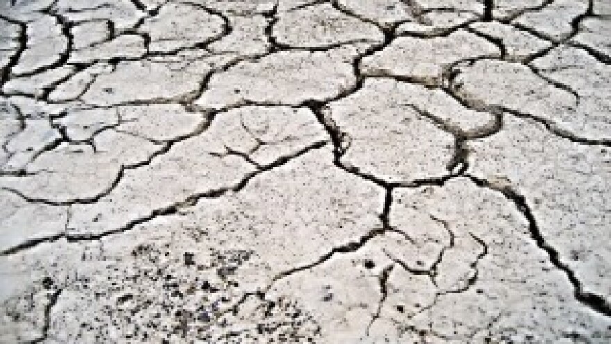 Povećanje temperature uzrokuje smanjenje prinosa kukuruza