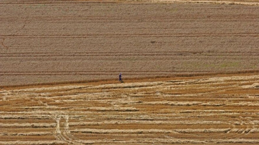Suša pogađa europske usjeve - cijene rastu!