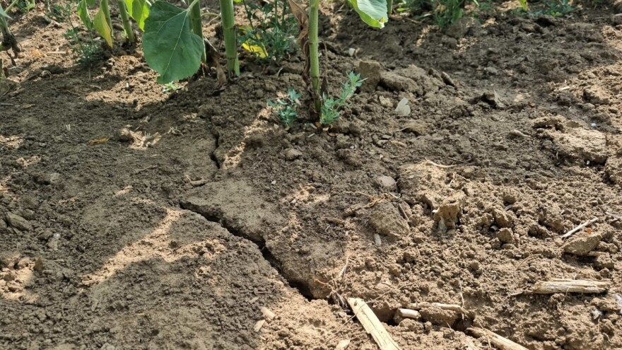 Osiguranje u poljoprivredi - šta treba da znamo?