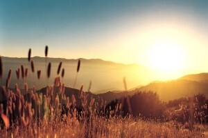 Štete od suše su izvjesne, ali su razmjeri različiti