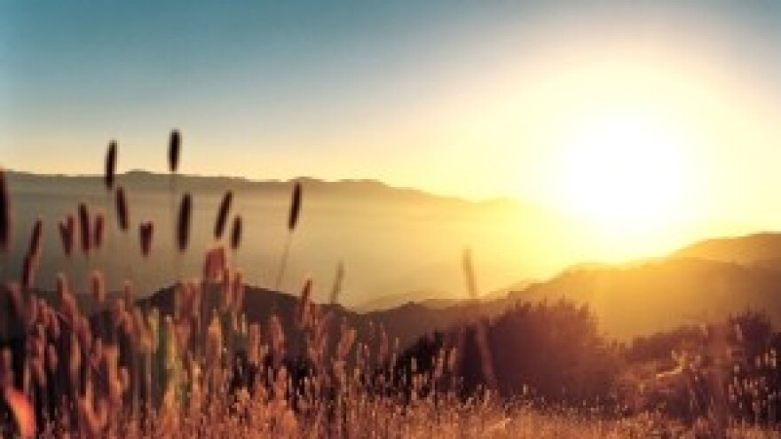 Štete od suše su izvjesne, ali su razmjeri različiti