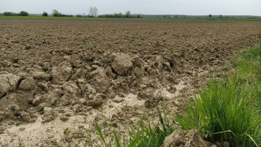 Poljoprivredno tlo: Ako ga vlasnik ne koristi, država ga privremno daje drugom