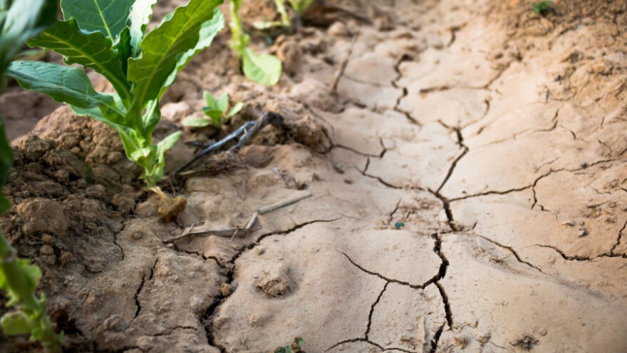 Isplatama predujma do saniranja šteta od suše