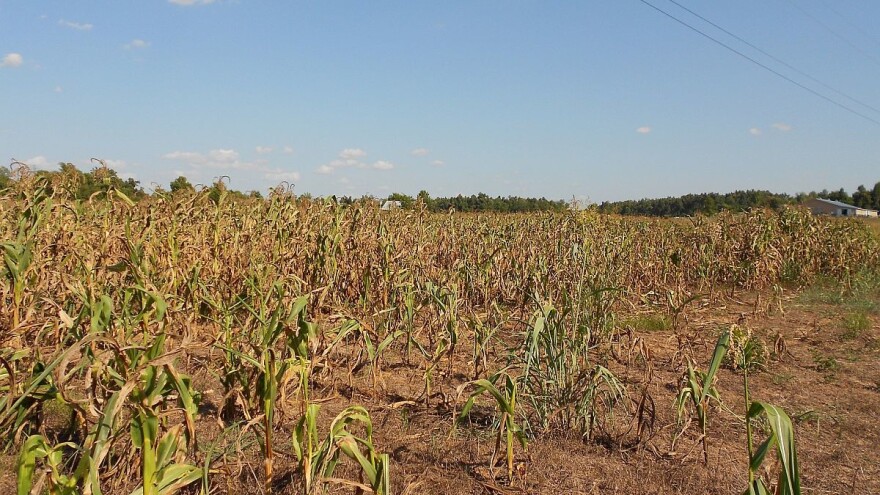 Stanje alarmantno, a borba protiv klimatskih promena u Srbiji još nije prioritet