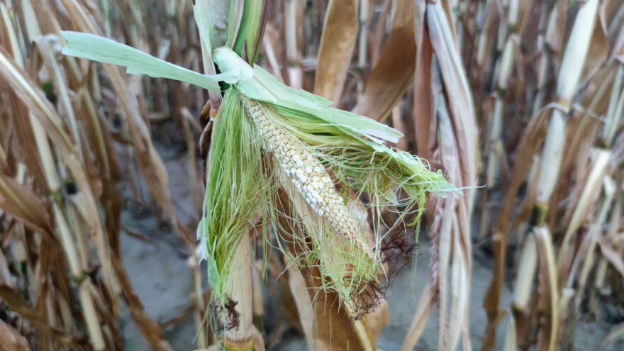 Za obnovu od elementarnih nepogoda 20 milijuna kuna - objavljen prijedlog natječaja