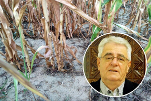 Nastavlja se epizoda suhog tla - idućih sedam dana bez značajnije količine kiše