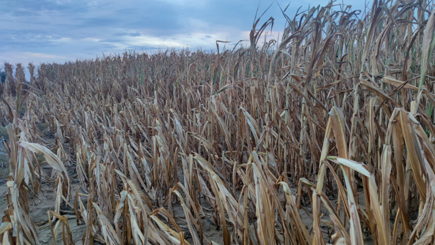 Produljen je rok za prijavu na natječaj za tip operacije 5.2.1