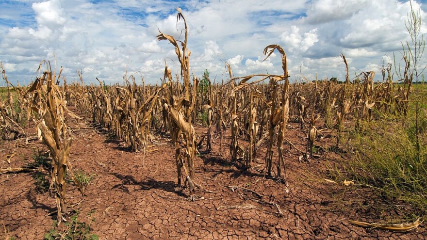 U Srbiji useve osigurava tek svaki deseti poljoprivrednik