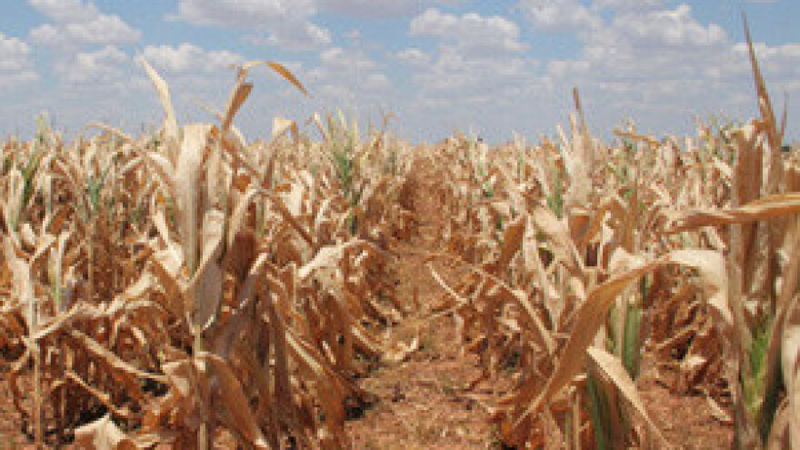 Zaustavljen najveći projekt navodnjavanja - usred suše!