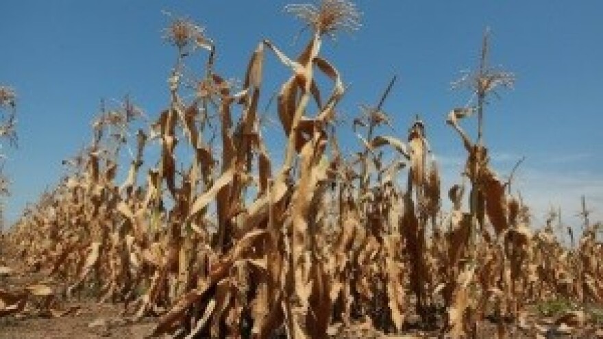 Hrvatskoj prijeti suša