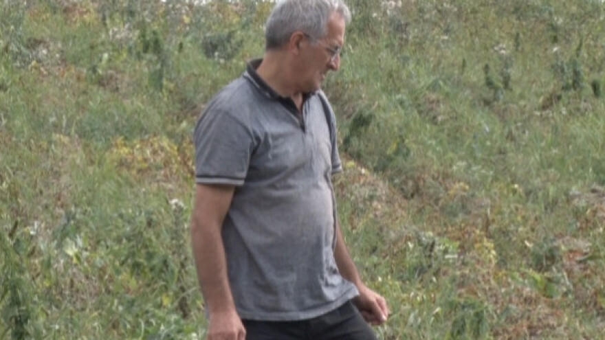 Suša "osušila" krompir u Zapadnoj Srbiji