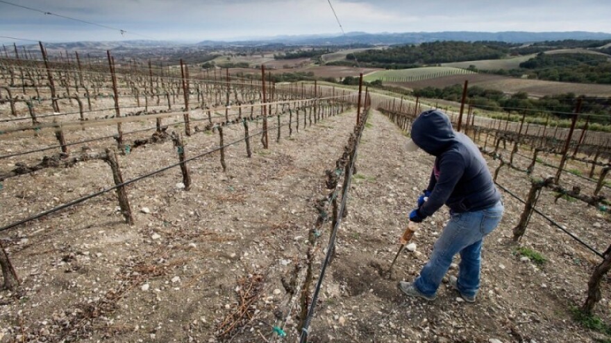 Zbog suše se raspisuje novi natječaj za Mjeru 5!