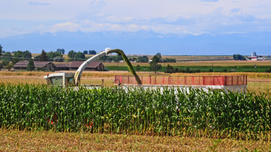 Useve u Republici Srpskoj gotovo uništila suša