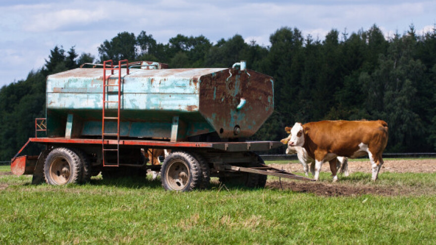 Nestašica vode ugrozila oko 5.000 grla stoke