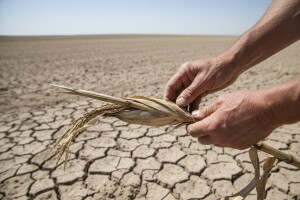 Suša uništava poljoprivrednike