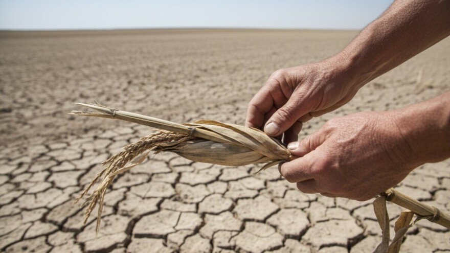 Suša uništava poljoprivrednike