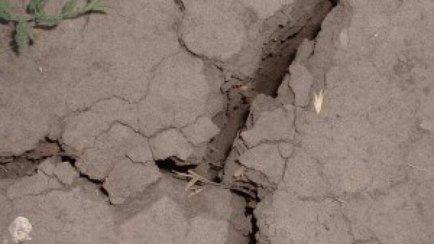 U dijelu Đakovštine žeđaju i ljudi i stoka!