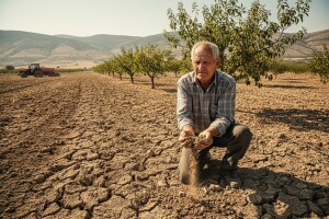 Suša uzela svoj danak