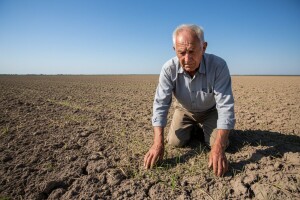 Suša zaustavila proljetvu sjetvu