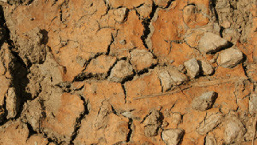 Suša koja je otkrila svu nemuštost vlasti