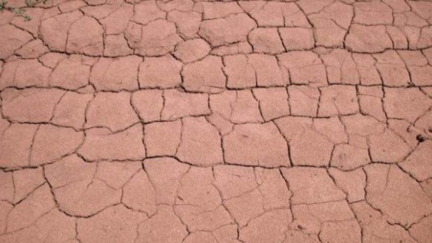 Nekim usjevima ne pomaže ni navodnjavanje