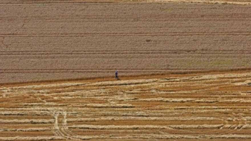 Suša pogađa europske usjeve - cijene rastu!