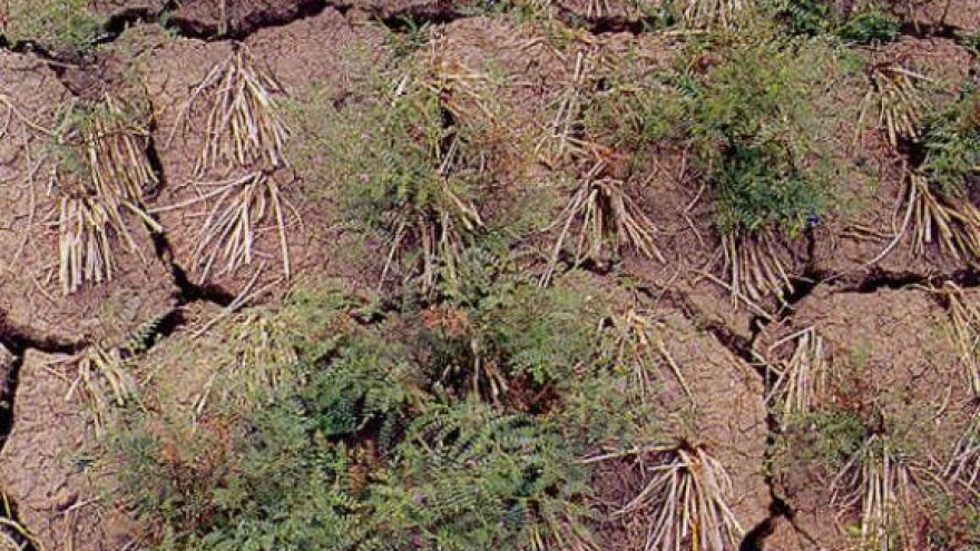 Nema novca za štete od tuče i suše