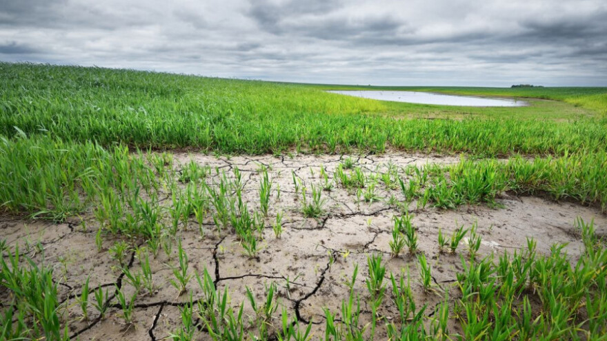 Radionica o rizicima suše u Dunavskoj regiji