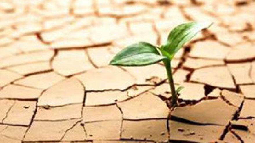 Voćke bez uroda, krumpir ne niče, a masline još ne cvjetaju