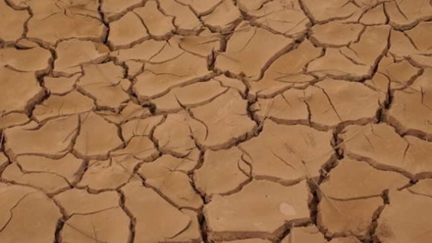 Milijunski gubici zbog suše